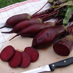 Ренова насіння буряка столового (Moravoseed)