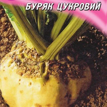 Цукрове насіння буряка цукрового (Геліос)