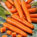 Сахарный пальчик семян моркови
