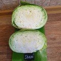 Шані F1 насіння капусти білокачанної (Sakata)