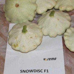 Сноудиск F1 насіння патисону (Semo)