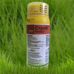Фунгіцид Стробі – BASF
