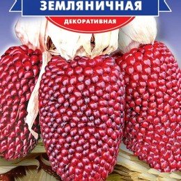 Земляничные семена кукурузы декоративной (GL Seeds)