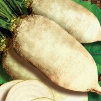 Центаур Полі насіння буряка кормового білого (Професійне насіння) НІ ТОВАРА