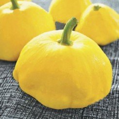 Вестерн Санрайз насіння патисону (Wing Seed)