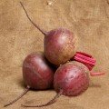 Воевода F1 насіння буряка столового (Lucky Seed)