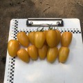 Еллоу Бидс F1 семена помидора индетерминантного коктельного желтого (Lark Seeds)