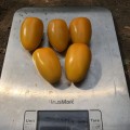 Еллоу Бидс F1 семена помидора индетерминантного коктельного желтого (Lark Seeds)