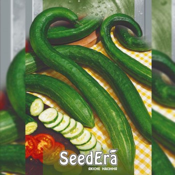 Змеевидные семена огурца пчелоопыляемого (Seedera)