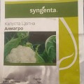 Алмагро F1 (Альмагро F1) семена капусты цветной (Syngenta)