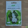 Арабика семян кофейного дерева (Hem Zaden)