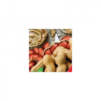 Валенсия семян арахиса (GL Seeds) Валенсия семян арахиса (GL Seeds)