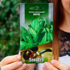 Берли семена курительного табака (Seedera)