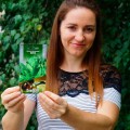 Берли семена курительного табака (Seedera)