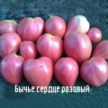 Воловое сердце розовые семена помидора индетерминантного (Элитный ряд)