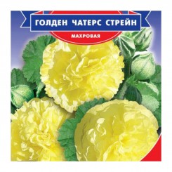 Чатерз Стрейн Голден семена мальвы (GL Seeds)
