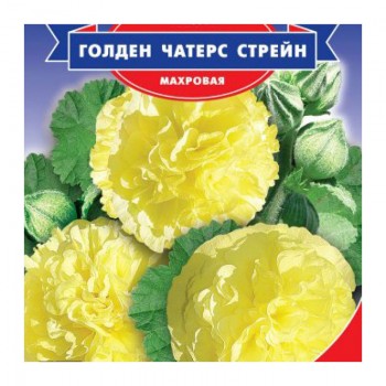 Чатерз Стрейн Голден семена мальвы (GL Seeds)