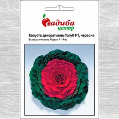 Голубь F1 красные семена капусты декоративной (Satimex)