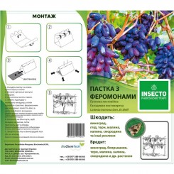 Гронова листовертка феромонна пастка (БІОхімтех)