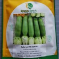 Ренды F1 (INX 5286 F1) семена кабачка (Innova Seeds)