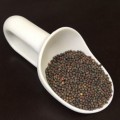 Капуста кольраби семена микрозеленые (Agrocity)