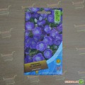 Колокольчик карпатский синий (blue) семян (Moravoseed)