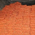 Хайденс F1 семена лука репчатого желтого (LibraSeeds)