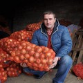 Хайденс F1 семена лука репчатого желтого (LibraSeeds)