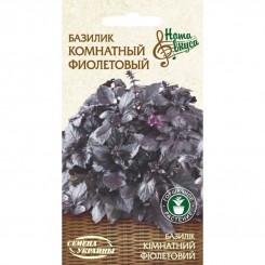 Кімнатне фіолетове насіння базиліка (Насіння України)