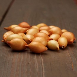 Коррадо (10-21 мм) сеянка лука (TOP Onion Sets)