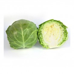 КС 1450 F1 насіння капусти білокачанної (Kitano Seeds)