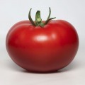 КС 301 F1 (KS 301 F1) семена помидора индетерминантного (Kitano Seeds)