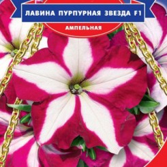 Лавина F1 пурпурная звезда семян петунии ампельной (GL Seeds)