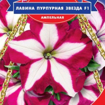 Лавина F1 пурпурная звезда семян петунии ампельной (GL Seeds)