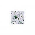 Нептун F1 белый (white) семена агератума (GL Seeds)