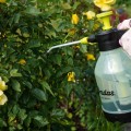Обприскувач ручний AQUA SPRAY CLEAR 1,5 л, AS0150CL (Bradas)