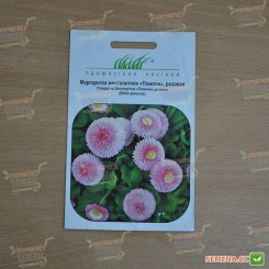 Помпон розовая (pink) семена маргаритки (Hem Zaden)