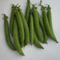 Продиджи семян гороха (Lark Seeds)