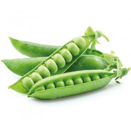 Сомервуд насіння гороху (Syngenta)
