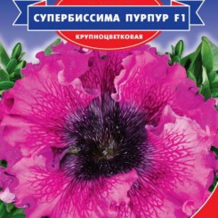 Супербиссима Пурпур F1 семена петунии (GL Seeds)