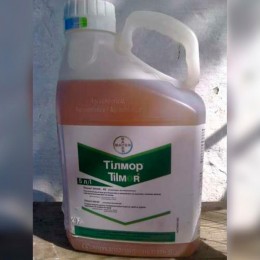 Фунгицид Тилмор – Bayer