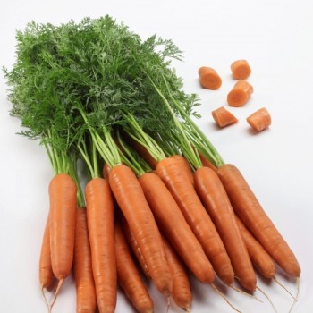 Титан F1 (1,8-2) семян моркови (Lark Seeds)