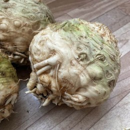 Вольт F1 семена сельдерея корневого (Lark Seeds)