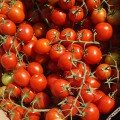 Ачико F1 семена помидора черри детерминантного (Cora Seeds)