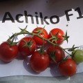 Ачико F1 семена помидора черри детерминантного (Cora Seeds)