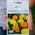 Антигуа F1 смесь (mix) семян бархатцев (Syngenta)