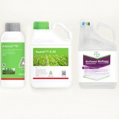 Гербіцид Апріорі ВГ + Біо Пауер + Аценіт А (1кг+5л+20л) - Adama