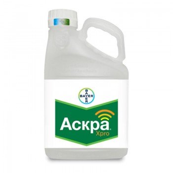 Фунгицид Аскра ХPRO – Bayer