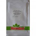 Блистра F1 насіння капусти савойської (Moravoseed)