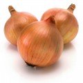 Дарика F1 семена лука репчатого желтого (Cora Seeds)